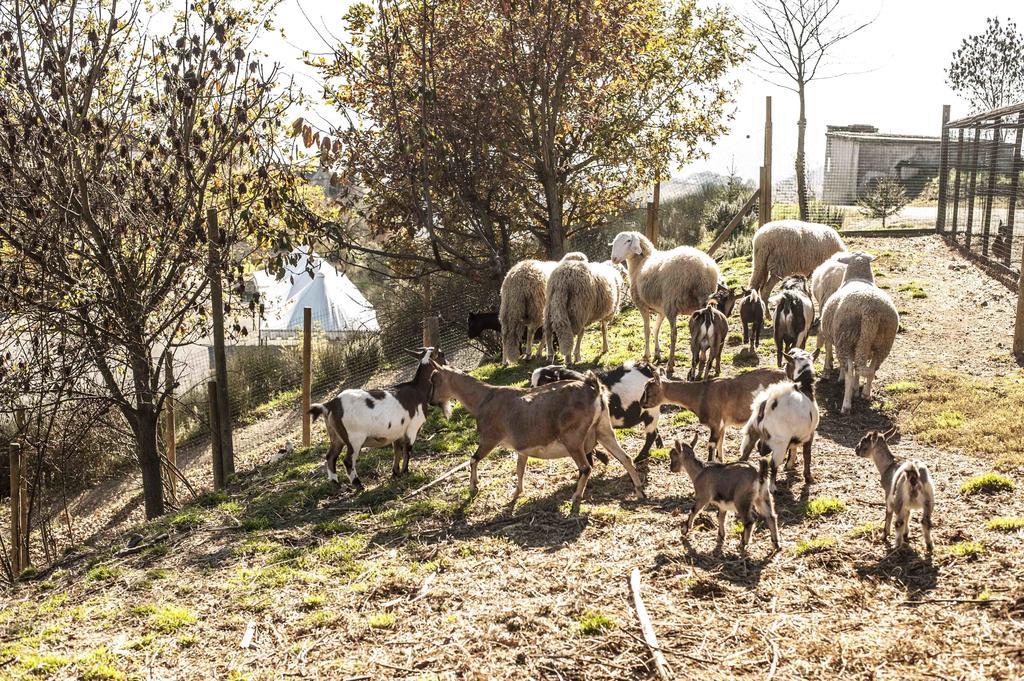 Azienda Agrituristica Alcastle Montabone المظهر الخارجي الصورة