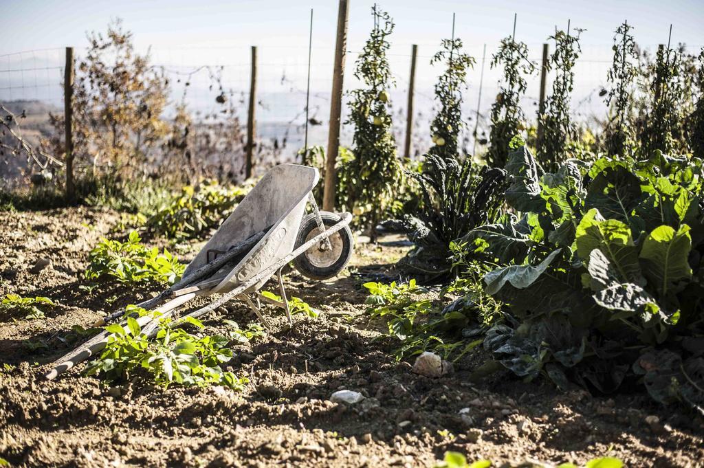 Azienda Agrituristica Alcastle Montabone المظهر الخارجي الصورة
