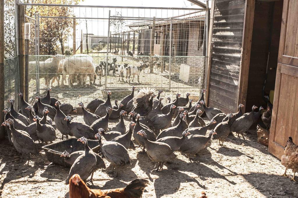 Azienda Agrituristica Alcastle Montabone المظهر الخارجي الصورة