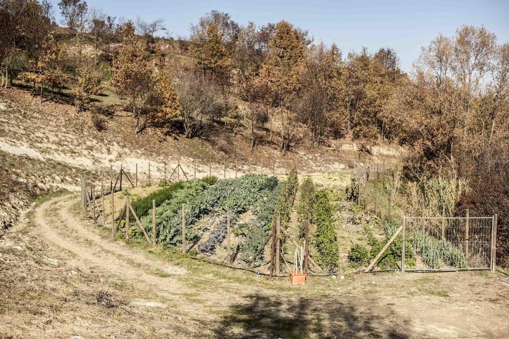 Azienda Agrituristica Alcastle Montabone المظهر الخارجي الصورة